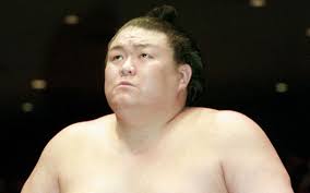 王鵬の父は貴闘力？関係は？王鵬と貴闘力似てる？徹底比較！ - 大相撲ライフ